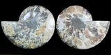 Cut/Polished Ammonite Pair - Agatized #47694-1